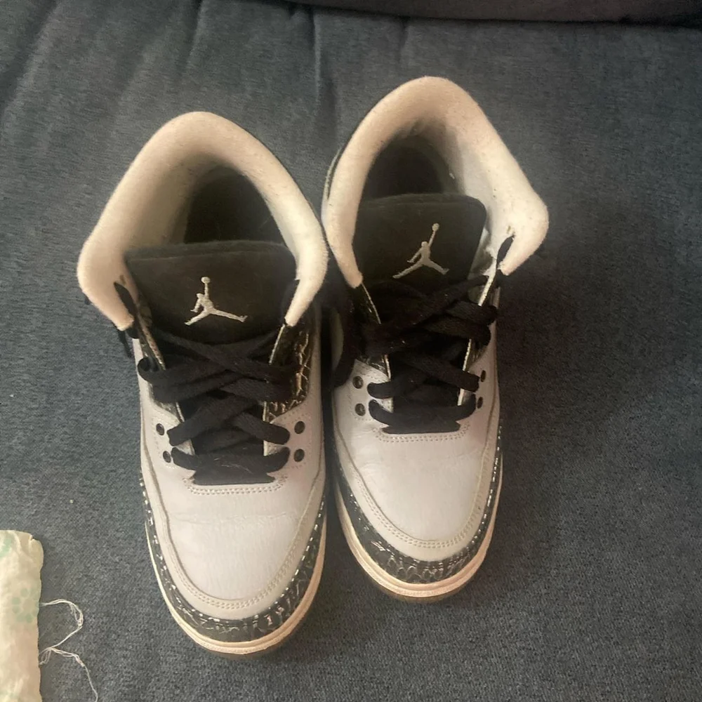 trainers